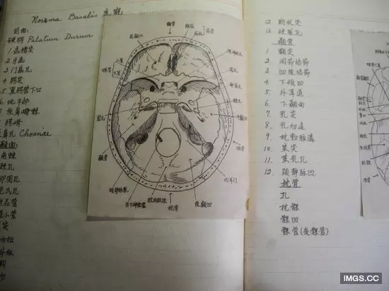 90歲爺爺留學筆記清晰規整讓人讚嘆!