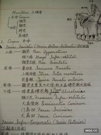 90歲爺爺留學筆記清晰規整讓人讚嘆!