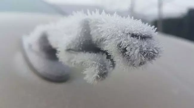 台灣的冷算什麼!亞熱帶人無法想像的超扯冬天奇景..「連靈魂都被凍到現出原形」!