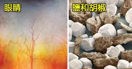 19張日常物品在「顯微鏡底下」的奇妙模樣 眉毛放大後太噁!