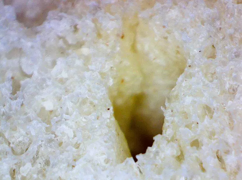 19張日常物品在「顯微鏡底下」的奇妙模樣 眉毛放大後太噁!