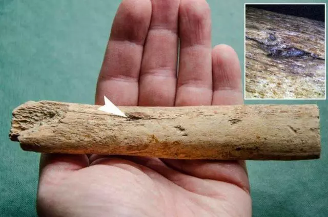 上百猛獁象怎麼死的?人類與猛獁象拚命廝殺,科學家發現直接證據