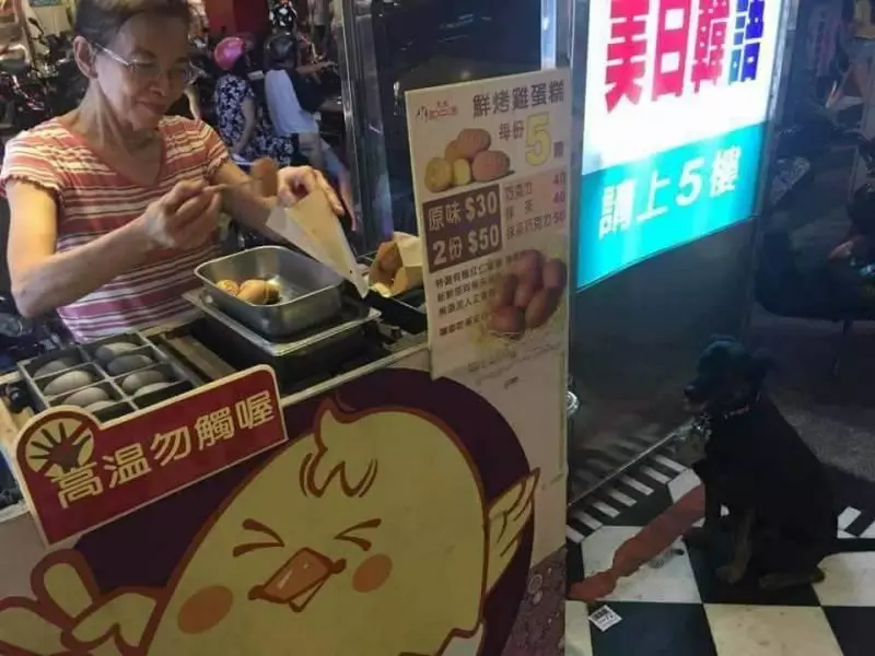 教過狗狗「要吃的就乖乖坐好」 傻黑汪興奮跳車「坐地等蛋餅」:把拔買這個~