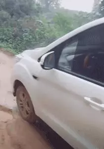 他開車被流浪狗擋住去路,弄清真相後不禁感謝:它救了我一命