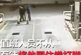 他開車被流浪狗擋住去路,弄清真相後不禁感謝:它救了我一命