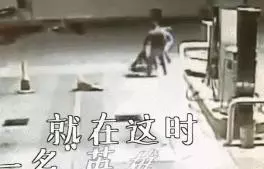 他開車被流浪狗擋住去路,弄清真相後不禁感謝:它救了我一命