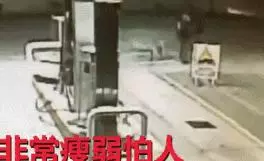 他開車被流浪狗擋住去路,弄清真相後不禁感謝:它救了我一命