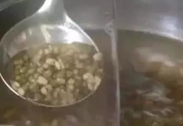 原來「煮綠豆」只要花2分鐘!90%的人都不知道!他把綠豆放進「這個地方」沒想到最後竟然...