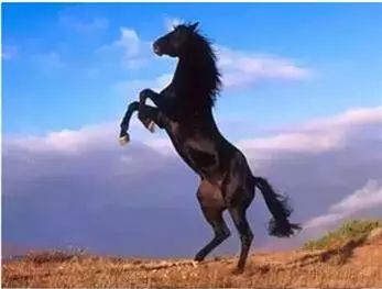 富人送了窮人一頭牛,結果牛死了,看懂的離成功不遠了!