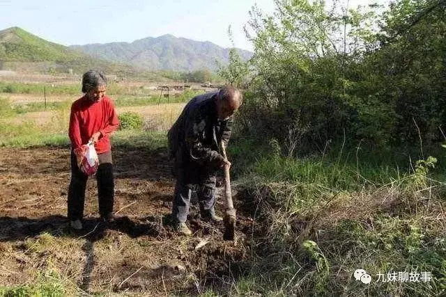 姐姐去公司找弟弟,弟弟卻嫌她丟人,公司老總看到姐姐卻笑臉相迎