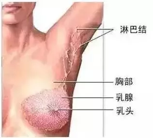 人體三處淋巴決定生死!學會淋巴按摩,隨時隨地救命!