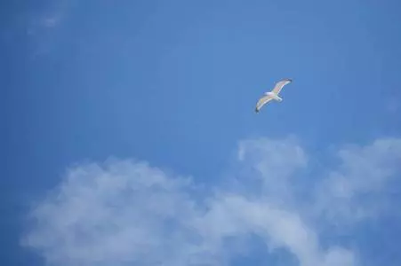 沒錢的時候,最應該投資什麼?