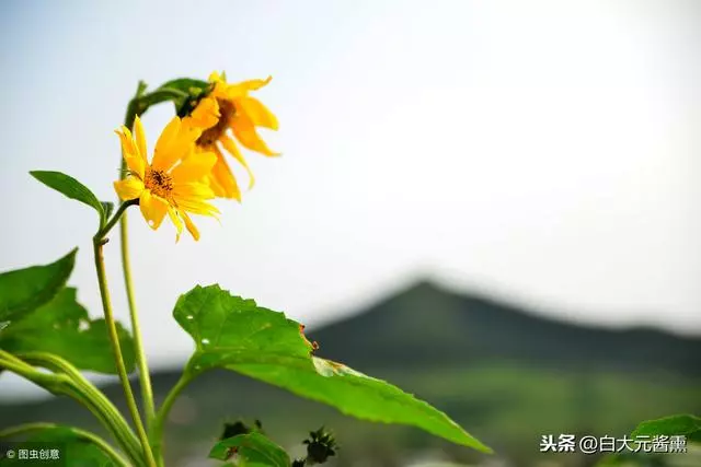 送給正在路上奔波的人,走自己的路做最好的自己