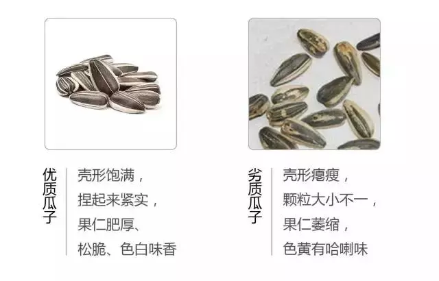 食品專家提醒:快過年了,這種堅果不要購買,給孩子選堅果有妙招
