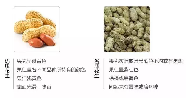 食品專家提醒:快過年了,這種堅果不要購買,給孩子選堅果有妙招