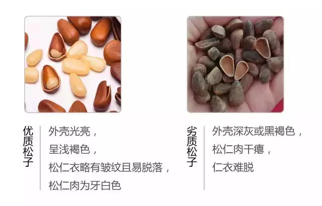 食品專家提醒:快過年了,這種堅果不要購買,給孩子選堅果有妙招