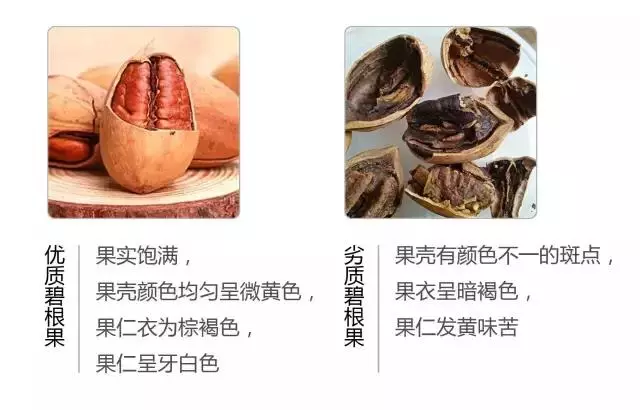 食品專家提醒:快過年了,這種堅果不要購買,給孩子選堅果有妙招