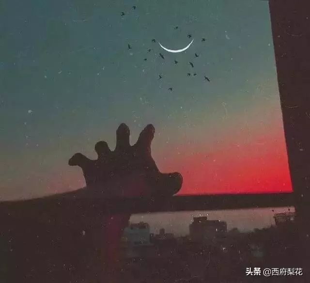 學會沉默,懂得取捨(深度好文)