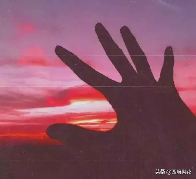 學會沉默,懂得取捨(深度好文)