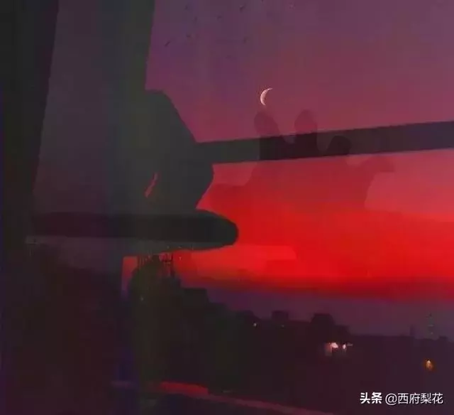 學會沉默,懂得取捨(深度好文)