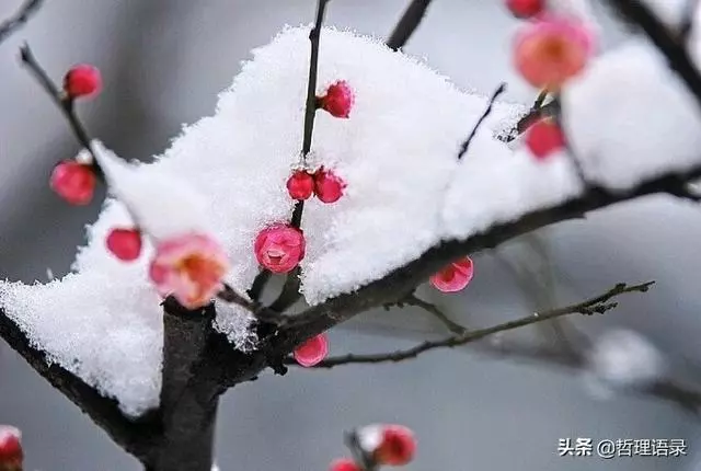 六句人生哲理,句句道出人生真諦!「經典哲理」