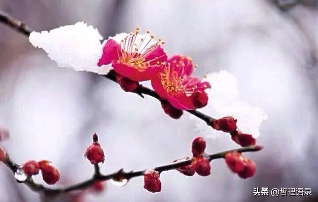 六句人生哲理,句句道出人生真諦!「經典哲理」