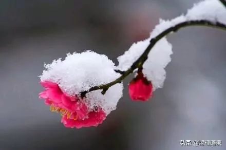 六句人生哲理,句句道出人生真諦!「經典哲理」
