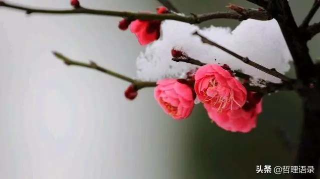 六句人生哲理,句句道出人生真諦!「經典哲理」