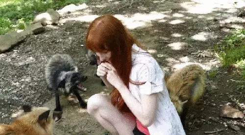 他把猩猩養大就野放叢林 5年後重逢猩猩做出「噴淚舉動」:把拔我好想你! - 寵物星人的秘密基地