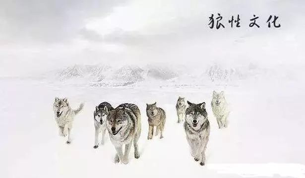 中國員工在未能達到銷售目標後被迫爬行, 中國所謂的「狼性文化」