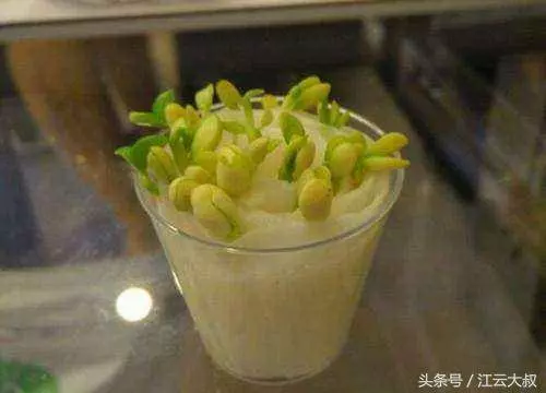朋友把檸檬籽放水裡,長出的盆栽真是美得驚豔!