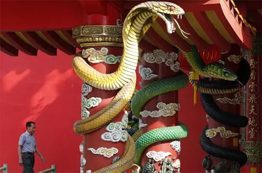 世界上唯一供奉「青蛇」的寺廟,至今已有910年,為紀念華人而建造,廟內爬滿毒蛇,依然有眾多信徒去祭拜