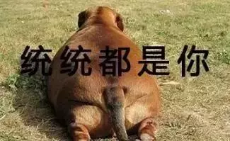 狗狗過年可以吃哪些食物?都在這裡告訴你