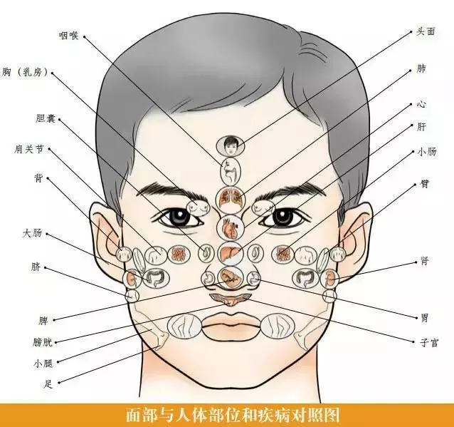 必知的一些中醫常識,以及身體10大重要穴位,收藏一下吧
