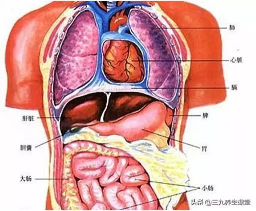 40歲後,5個養生之道從「心」開始,若你佔一個,長壽與你有緣