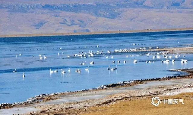 青海湖封凍過程景致別樣美