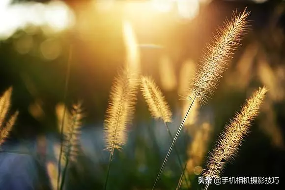 原來手機邊上這兩個鍵,在拍照時這麼關鍵!