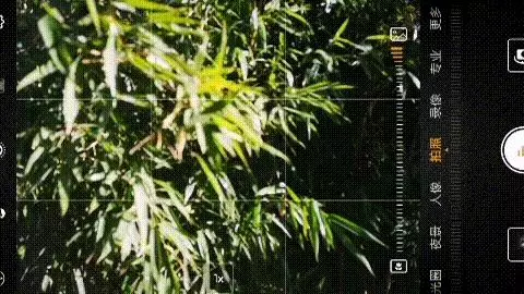 原來手機邊上這兩個鍵,在拍照時這麼關鍵!