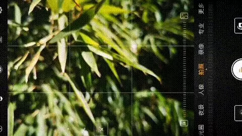 原來手機邊上這兩個鍵,在拍照時這麼關鍵!