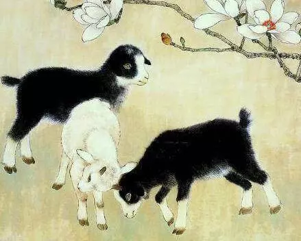 2019紅的發紫,好運一整年的7個生肖