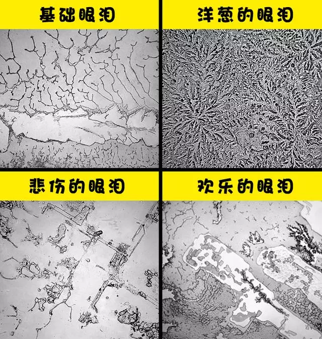 關於我們的身體,你所不知道的8個驚人事實