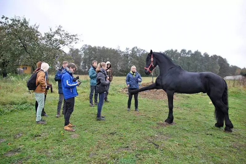 「從下方看動物」感受新鮮萌點 攝影師出奇招這樣拍到馬兒!