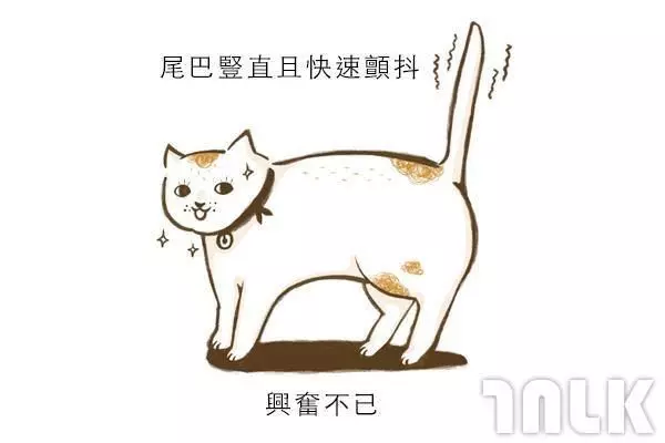 9個貓咪尾巴傳達的訊息!「摸貓摸到尾巴狂甩」好可愛?其實貓咪正在忍耐內心怒火...