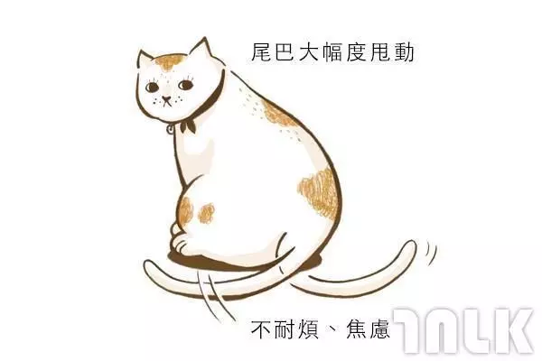 9個貓咪尾巴傳達的訊息!「摸貓摸到尾巴狂甩」好可愛?其實貓咪正在忍耐內心怒火...