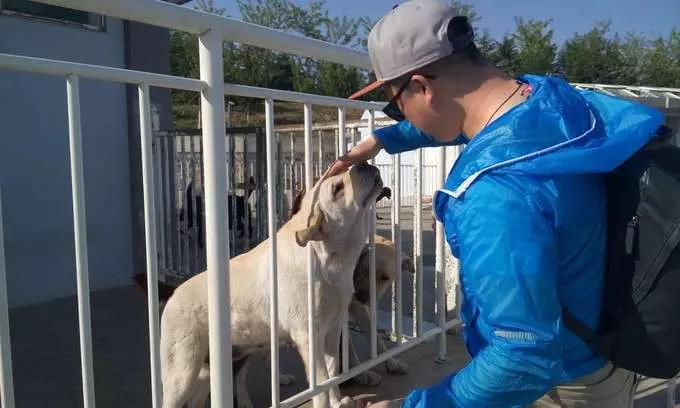 市民要求視障服務犬「會嚇哭小孩」該戴口罩 保護團體傻眼:你見過警犬戴?
