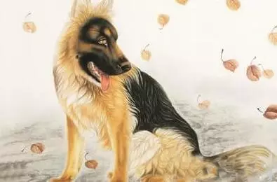 人緣最好的五大生肖,你身邊有嗎?