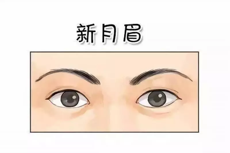 眉毛不要亂修,眉毛預示吉凶,你的眉毛長什麼樣,你的一生就是什麼樣