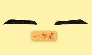 眉毛不要亂修,眉毛預示吉凶,你的眉毛長什麼樣,你的一生就是什麼樣