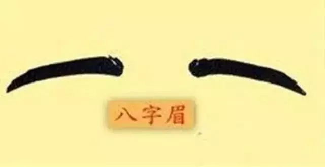 眉毛不要亂修,眉毛預示吉凶,你的眉毛長什麼樣,你的一生就是什麼樣