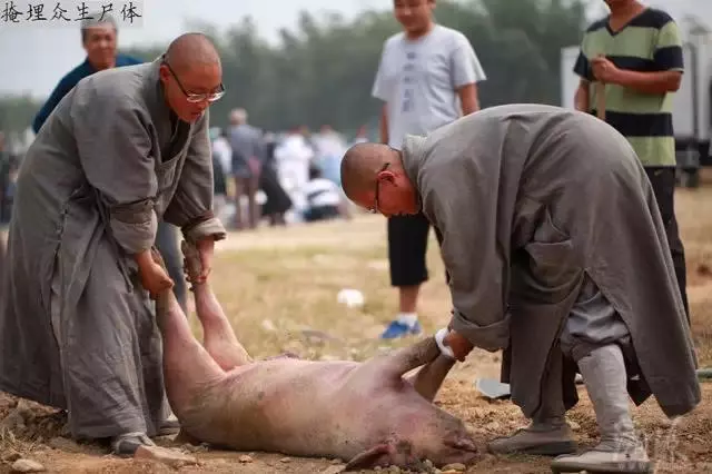 「偷拍」中國真正的尼姑生活...看得我心頭一震!怎麼跟我知道的不一樣!